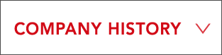 COMPANY HISTORY